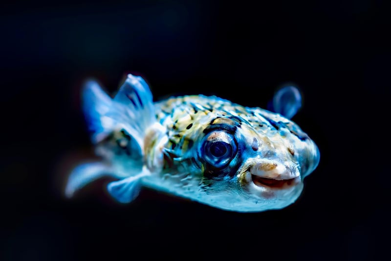 Underwater World